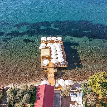 Assosa Hotel Ayvacik Εξωτερικό φωτογραφία