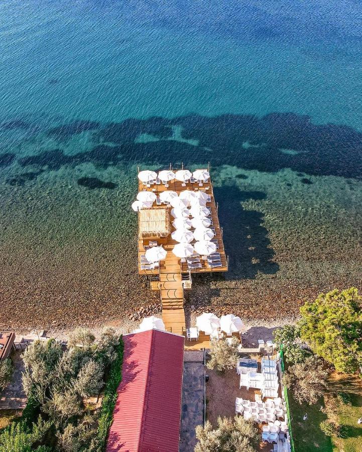 Assosa Hotel Ayvacik Εξωτερικό φωτογραφία